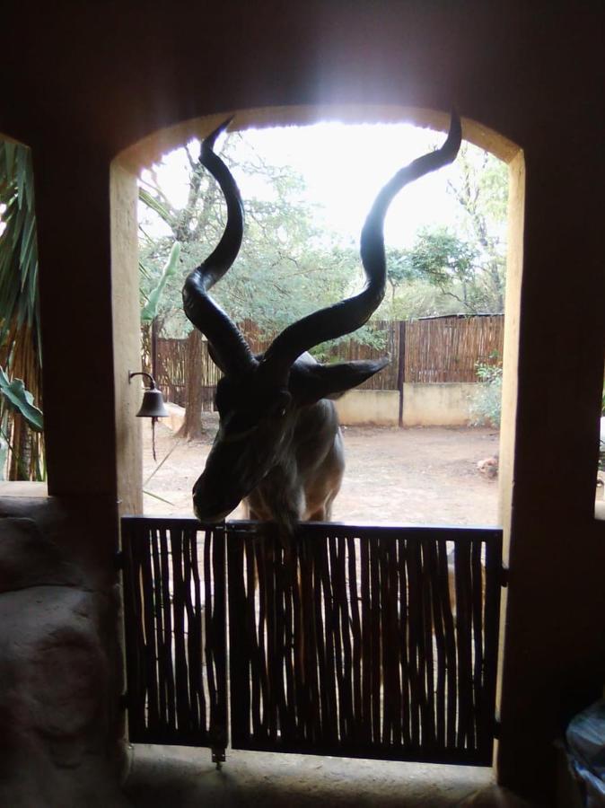 Kiburi Lodge @ Kruger, A Secluded Bushveld Getaway Marloth Park Extérieur photo