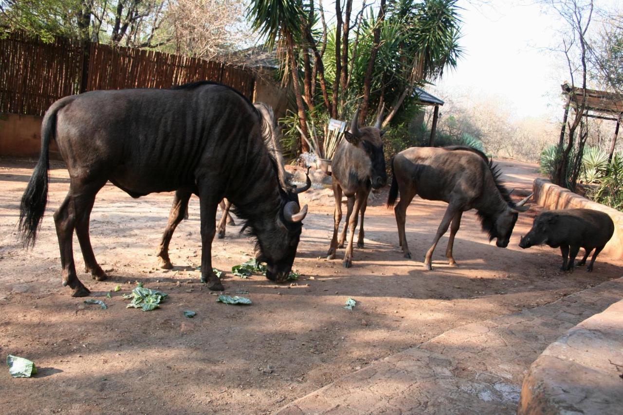 Kiburi Lodge @ Kruger, A Secluded Bushveld Getaway Marloth Park Extérieur photo