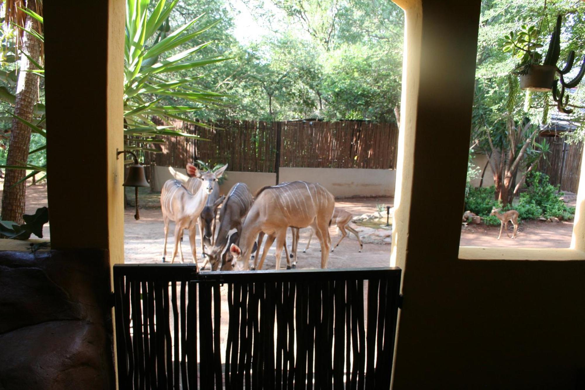 Kiburi Lodge @ Kruger, A Secluded Bushveld Getaway Marloth Park Extérieur photo